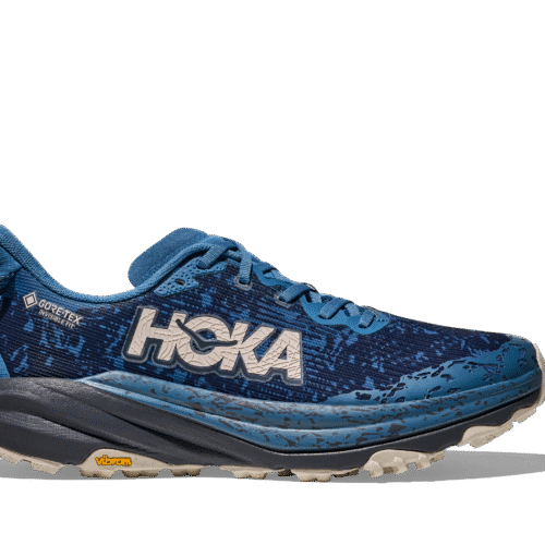 Men's Speedgoat 6 GTX (FYNG - Foggy Night/Charcoal Grey)