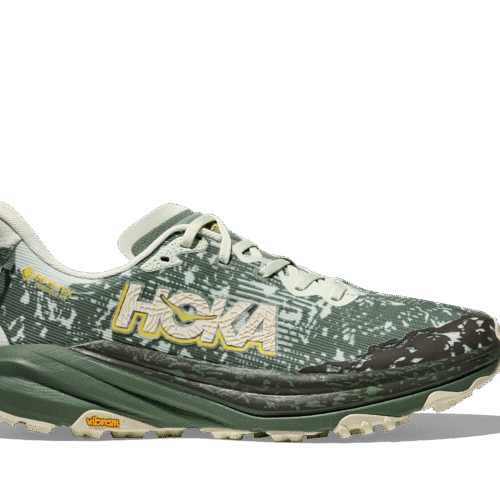 Men's Speedgoat 6 GTX (SFRN - Sea Glass/Fern)